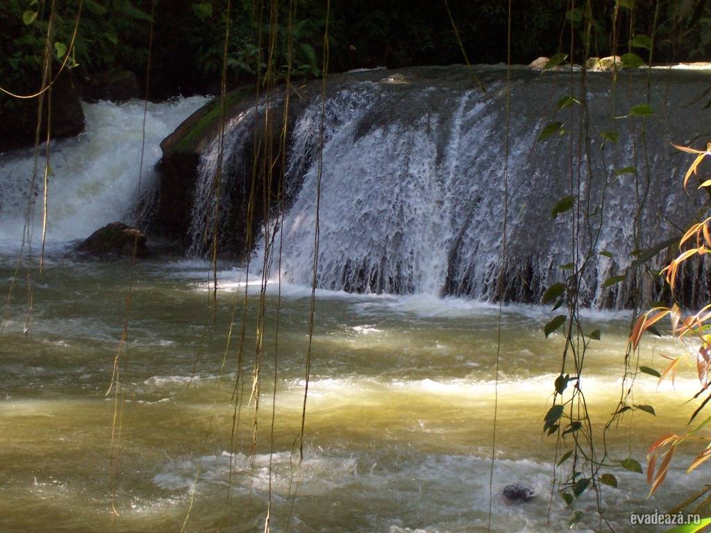 Jamaica - Ocho Rios | 5